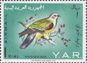 Bruce's Green Pigeon (Treron waalia)